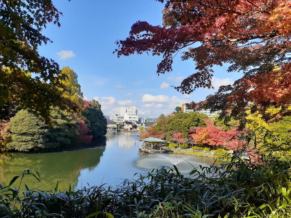 紅葉を見に行こうよう 高岡市移住促進サイト